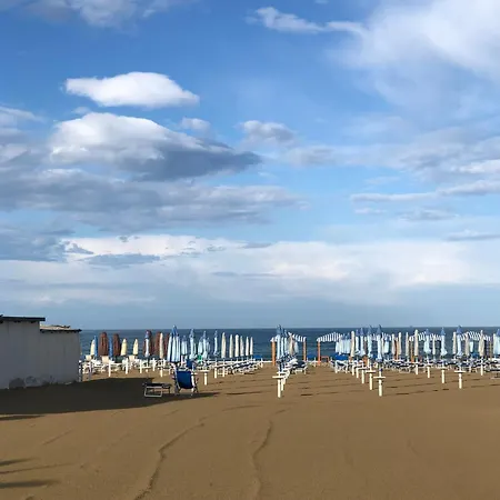 Sea View Panoramic With Terrace Wifi And Parking *
