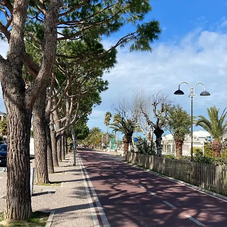 Sea View Panoramic With Terrace Wifi And Parking Apartment *